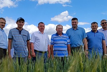 Как работают селекционеры в растениеводстве?